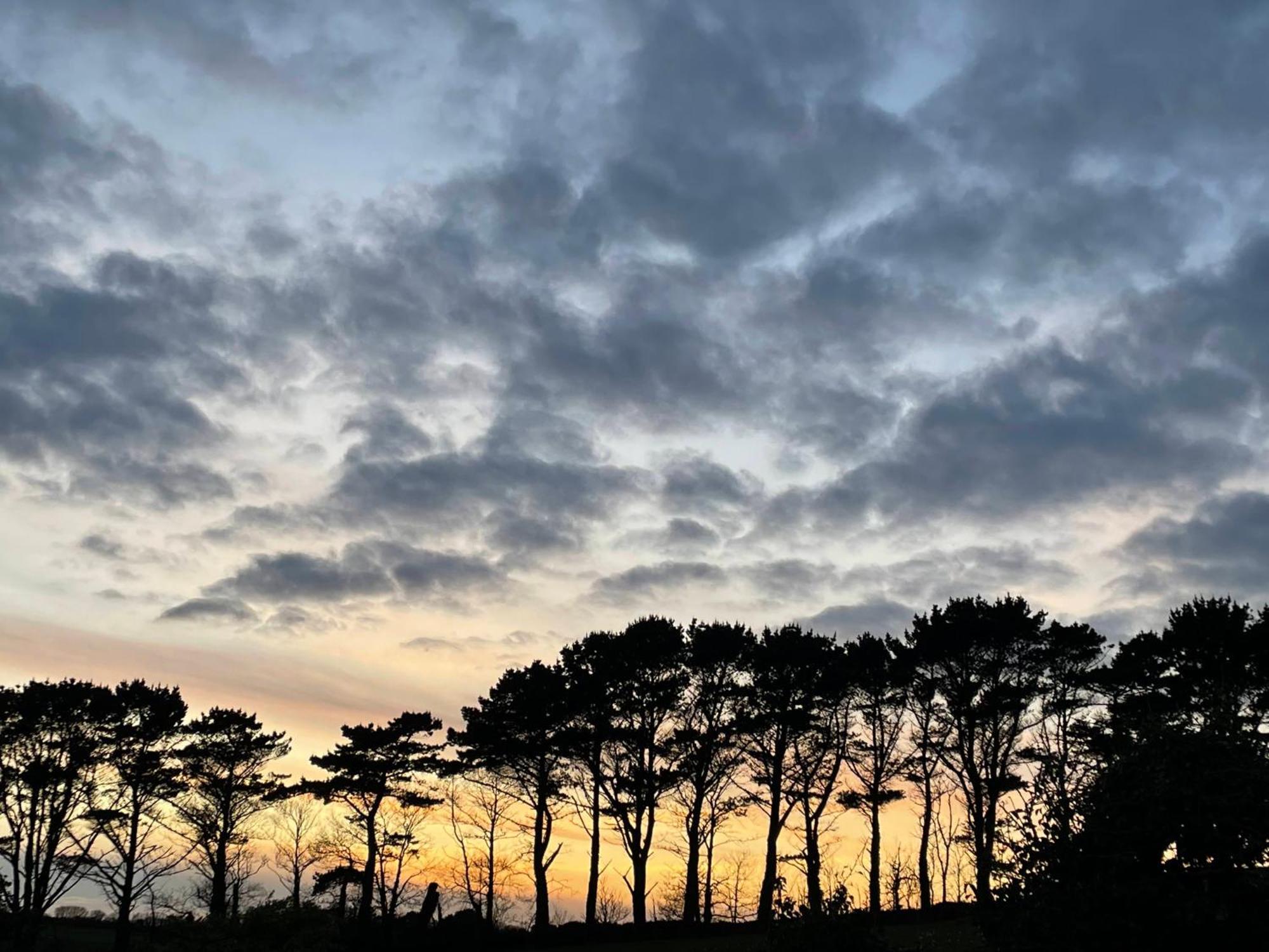 Fowey River Views Bagian luar foto